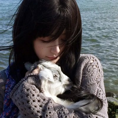 水上回光 海报