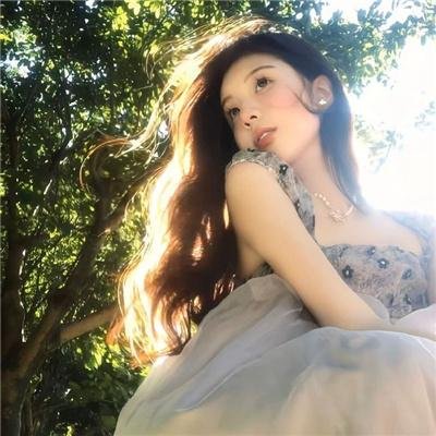 回望长安 海报
